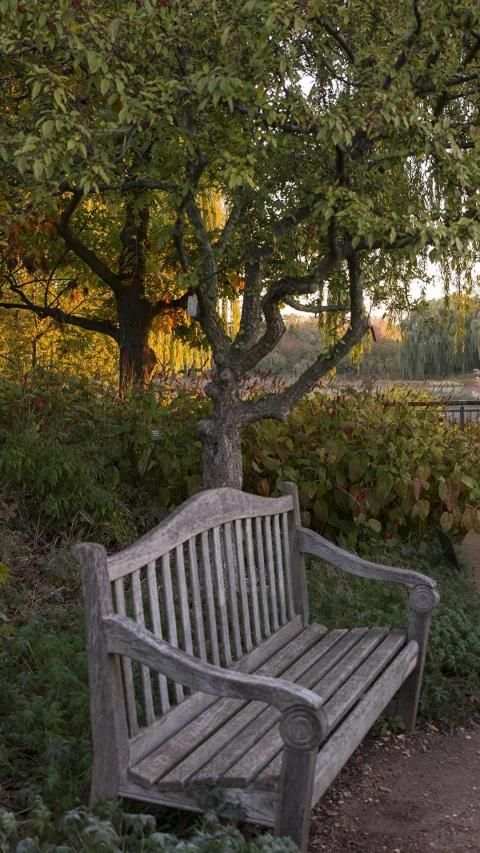Garden Wallpaper screenshot 8