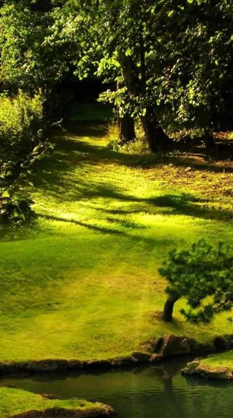 Garden Wallpaper screenshot 16