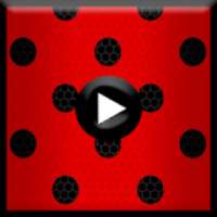 Ladybug Video
