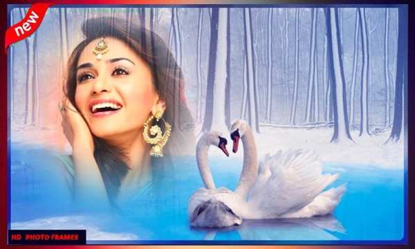 Birds Photo Frames स्क्रीनशॉट 1