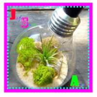 Recyle Light Bulb Innovative