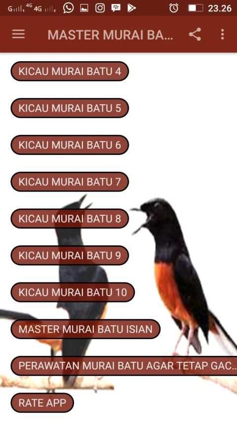 MASTER MURAI BATU AUDIO TRACK screenshot 2