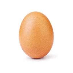 Egg