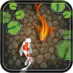 ikon Koi Fish 3D Live Wallpaper 2019