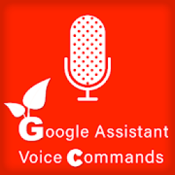 ikon Ok Google Voice Commands for Google Assistant