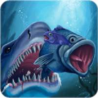Grow Shark Fish Simulator