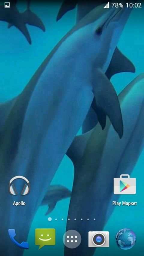 Dolphins. Live Video Wallpaper स्क्रीनशॉट 7