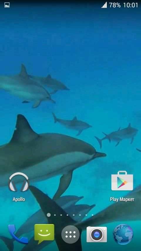 Dolphins. Live Video Wallpaper स्क्रीनशॉट 6