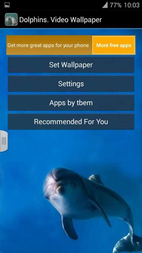 Dolphins. Live Video Wallpaper स्क्रीनशॉट 3