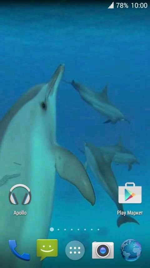 Dolphins. Live Video Wallpaper स्क्रीनशॉट 8