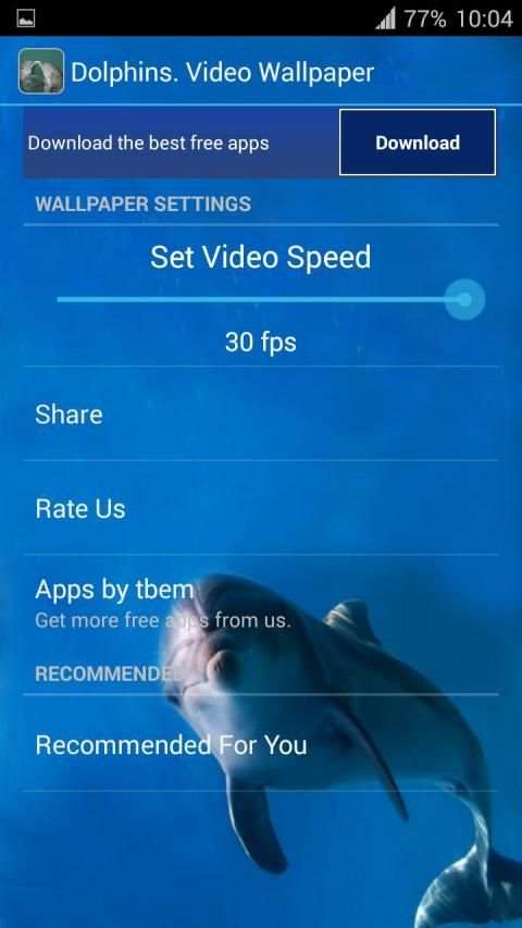 Dolphins. Live Video Wallpaper स्क्रीनशॉट 1