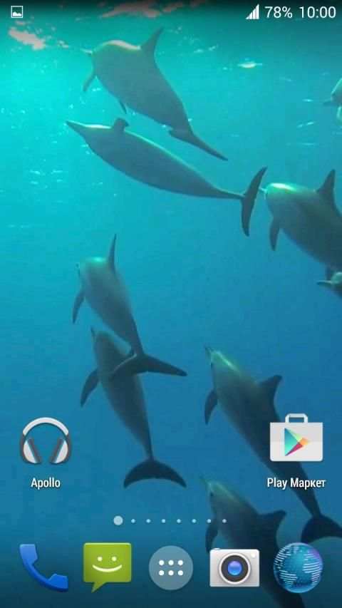 Dolphins. Live Video Wallpaper स्क्रीनशॉट 4