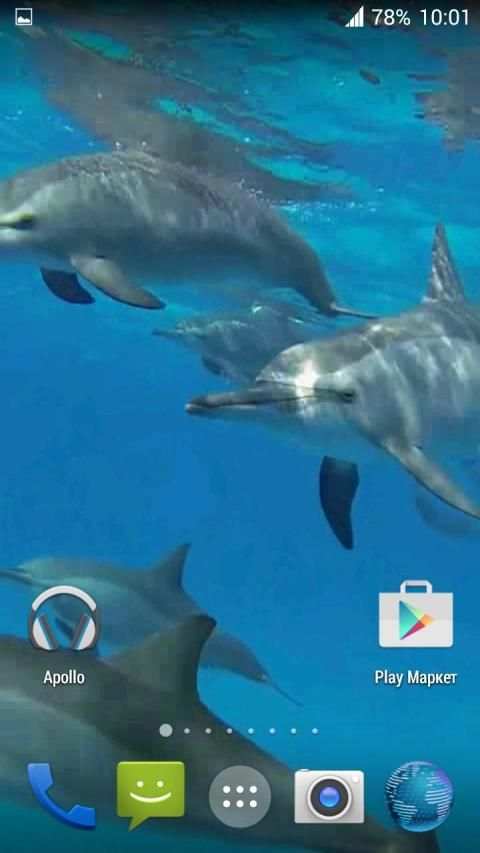 Dolphins. Live Video Wallpaper स्क्रीनशॉट 5