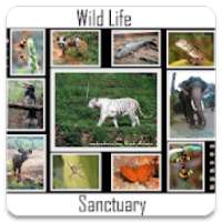 Wildlife Sanctuaries In India on 9Apps