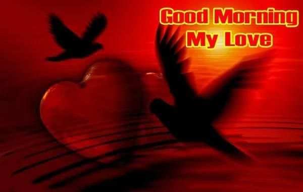 Good Morning Have a Nice Day Gif 1 تصوير الشاشة