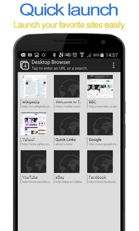 Desktop FullScreen Web Browser screenshot 1