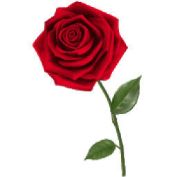 Rosas Pegatinas para WhatsApp - WAStickerApps icon