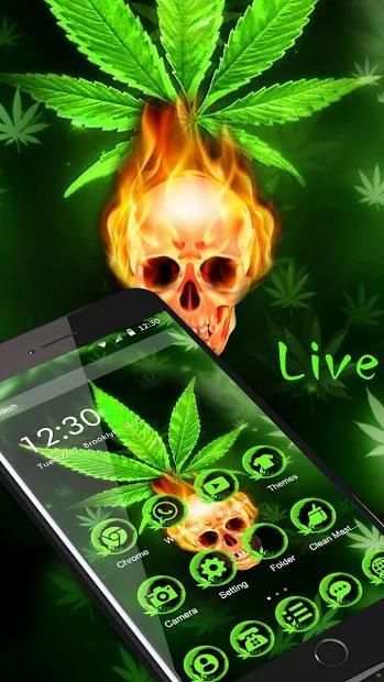 Green Weed Fire Skull Theme screenshot 2