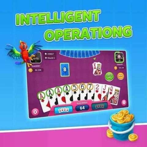 Gin Rummy स्क्रीनशॉट 1