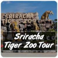 Sriracha Tiger Zoo Tour