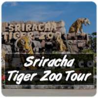 Sriracha Tiger Zoo Tour on 9Apps