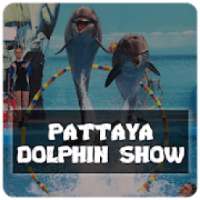 Pattaya Dolphin Show