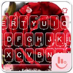 Carola TouchPal Keyboard Theme