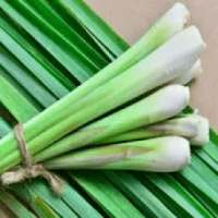 Health Benefits Of Lemon Grass on 9Apps