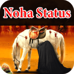 Nohay video status आइकन