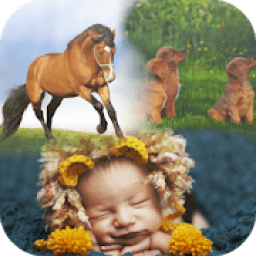 ikon PicMix Free , Insta Collage