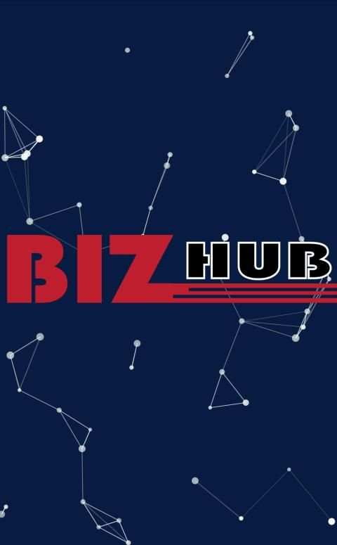 Bizhub स्क्रीनशॉट 6