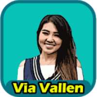 Full Album Via Vallen : Selow on 9Apps