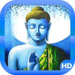 Buddha HD Wallpapers