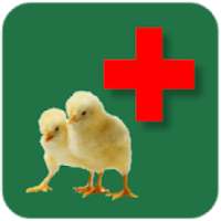 Poultry Disease Center