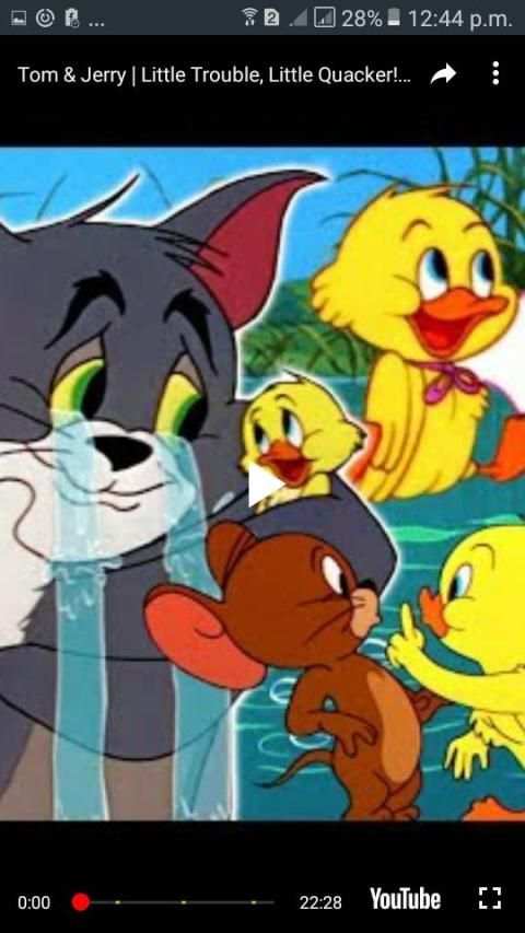 Tom and Jerry Cartoon screenshot 4