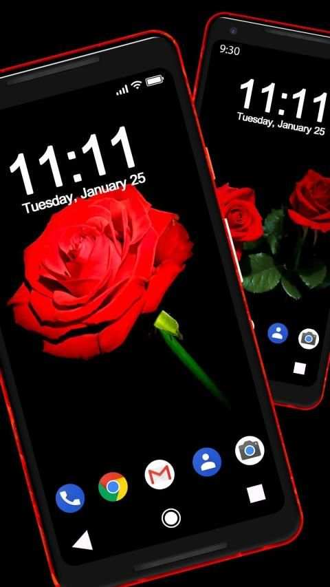 Red Rose APUS Live Wallpaper screenshot 4