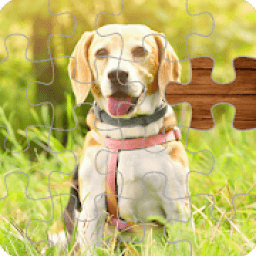 ikon Jigsaw Puzzle 2019