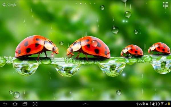 Rain Live Wallpaper स्क्रीनशॉट 6