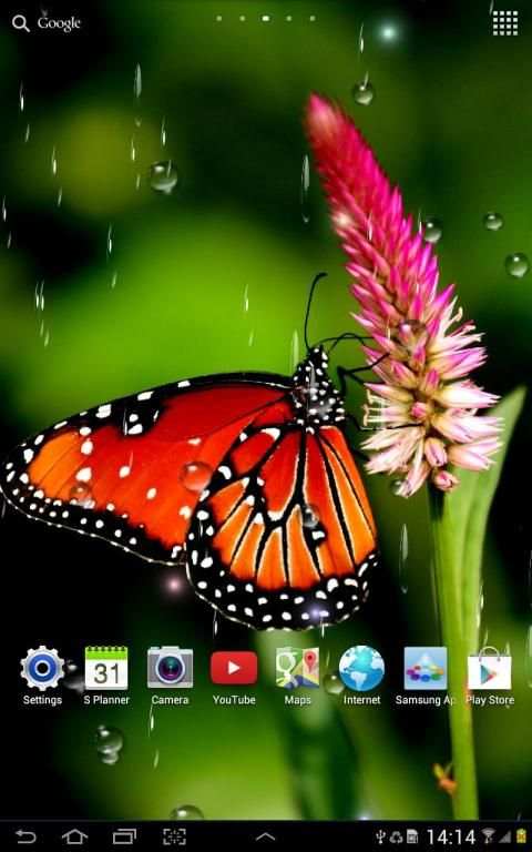 Rain Live Wallpaper स्क्रीनशॉट 2