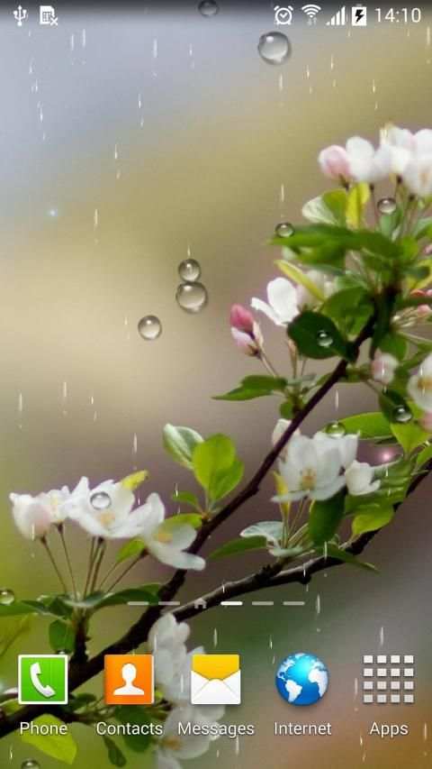 Rain Live Wallpaper स्क्रीनशॉट 10
