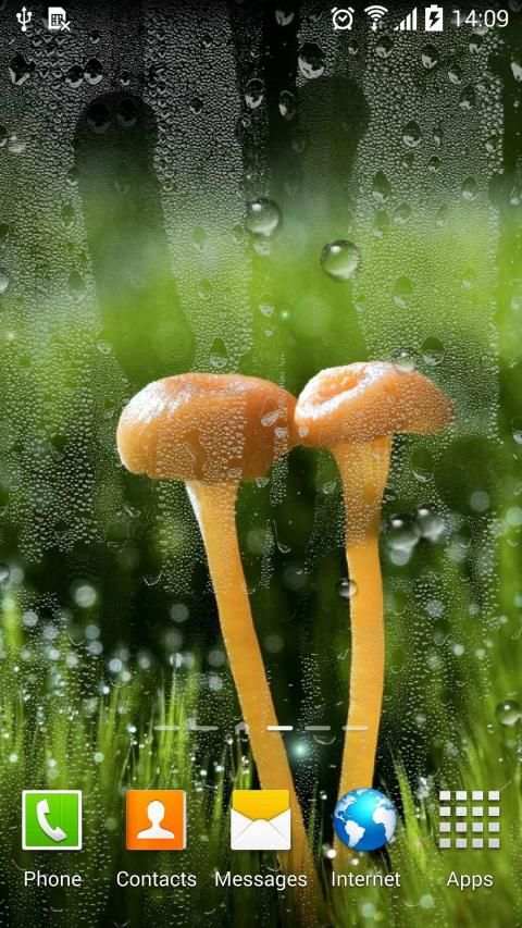 Rain Live Wallpaper स्क्रीनशॉट 12