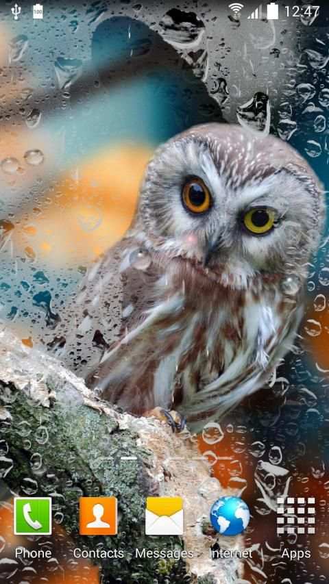 Rain Live Wallpaper स्क्रीनशॉट 8