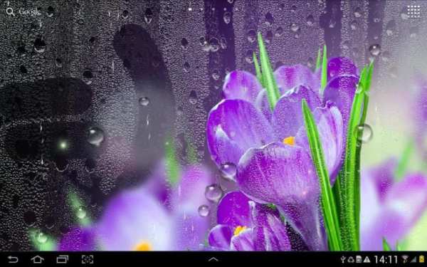 Rain Live Wallpaper स्क्रीनशॉट 5
