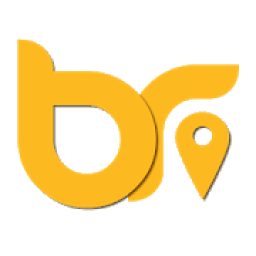 ikon Boss Ride Driver