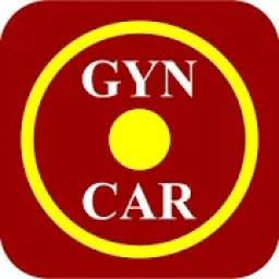 Gyncar - Motorista