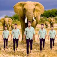 Echo Animal Effect : best echo mirror with animal on 9Apps