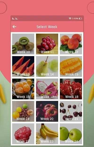 Pregnancy Week By Week screenshot 1