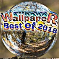 Wallpaper (Best of 2018)