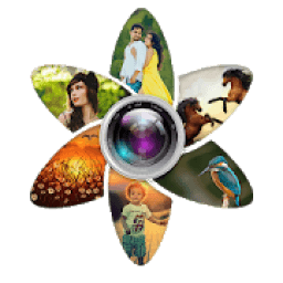 Gallery आइकन