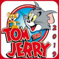 Tom and Jerry Cartoons